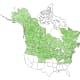 Paper Birch Tree Range Map (USDA Plant Database)