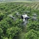 Agras T16 from DJI