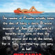 Piranha 3D (2010)