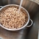 Step Three: In the morning, pour your beans into a strainer to rinse.
