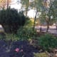 Gardens can still be captivating and relaxing when we feel tense from the world’s anxieties.
