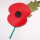 A Poppy to wear on your Lapel