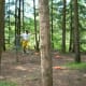 playing-disc-golf-a-game-for-beginners