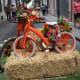 Pained bikes and flowers looked great.