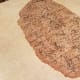making-your-own-homemade-seed-crackers