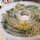making-your-own-dried-parsley-at-home