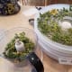 The next day, transfer little bits at a time into your food processor and [process your parsley down to powder.