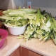 (the husks)
