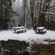 Snowball fights kept guests entertained.