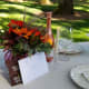A semi-elegant party held outdoors does not have to be expensive. Keep the cost down by using less costly materials that look as good as the more expensive ones.