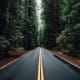 thewayallaround