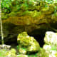 The Grotto