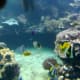 islands-the-innocents-abroad-chapter-2
