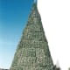 A Christmas tree decoration, Virginia Beach, November 2005.