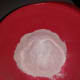 Flour and baking powder.