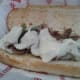 ...is delicious