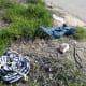 Discarded clothing