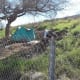 Up along a roadside hill