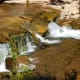 places-to-visit-in-arizona-slide-rock-grasshopper-point-apache-wash-trailhead