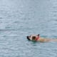 Swimming in the pool at the Millie Bush Bark Park