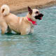 Ah, this is so refreshing after playing catch with my person.