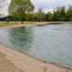Huge pools for dogs to swim and play. This one is in the small dog fenced area!