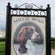 Likeness of Millie Bush