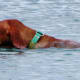 Love going for a refreshing swim!