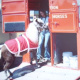 princess_our_pony