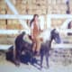 princess_our_pony