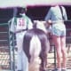 relaxing and watching, both girls placed high