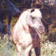 princess_our_pony