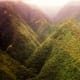 Flying over a rain forest on the Big Island of Hawaii