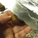 Cutting chestnut with knife. Cut through both the hard outer skin and the inner skin.