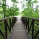 A footbridge in a wooded area of the Mount Vernon Estate. August 2013.