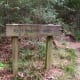 100-acre-wood-preserve-in-houston