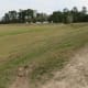 Looking back at the parking area and open prairie as we walk towards the forested areas opposite the parking lot.