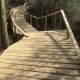 Some areas of wooden walkways or bike ride areas over potentially marshy areas