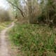 100-acre-wood-preserve-in-houston
