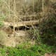 100-acre-wood-preserve-in-houston
