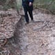 100-acre-wood-preserve-in-houston
