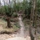 100-acre-wood-preserve-in-houston
