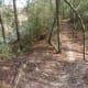 A trail along Cypress Creek