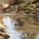 Cypress Creek