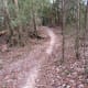 100-acre-wood-preserve-in-houston