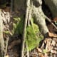100-acre-wood-preserve-in-houston
