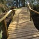 100-acre-wood-preserve-in-houston