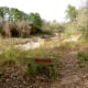100-acre-wood-preserve-in-houston