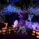 winter-wild-lights-at-the-columbus-zoo