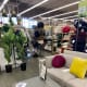 More house décor inspiration such as plants and throws and pillows